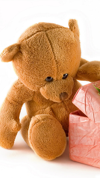 Cute Teddy, Beautiful Gift HD phone wallpaper