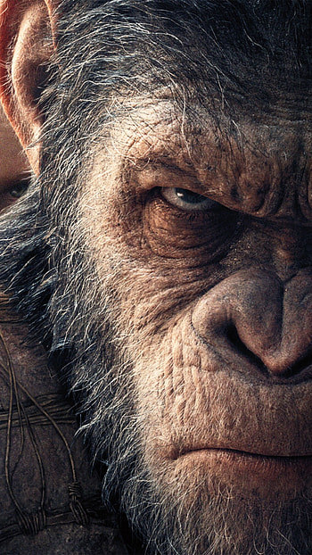 Planet of the Apes, War film, , Page 656 HD phone wallpaper