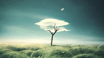 Cloud Tree, artist, hop, manipulation, tree, clouds HD wallpaper