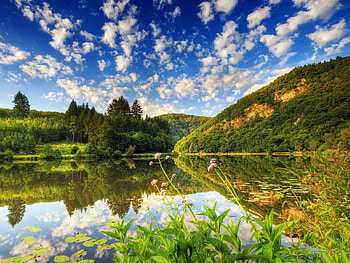 Landscape, Water, Trees, Sky HD wallpaper