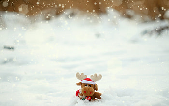 Holidays, New Year, Toys, Snow, Christmas, Xmas HD wallpaper