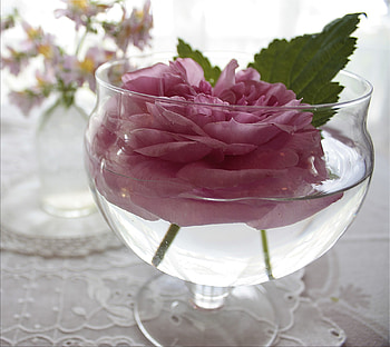 pink, still life, vase, decoration HD wallpaper