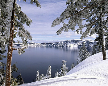 LINDA PAISAGEM, neve, arvores, branca, lago, natureza HD wallpaper