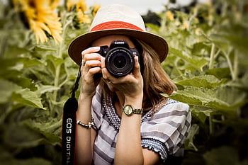 Woman with hat graphing sunflowers in a summer field using a Canon camera. HD wallpaper