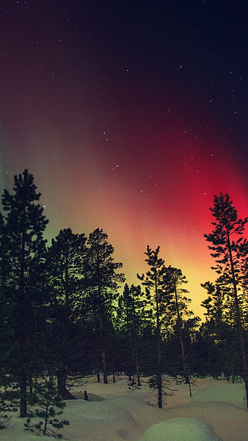 Home Screen, Nature HD phone wallpaper