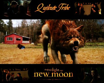 New Moon: Quileutes, eclipse, cullen, taylor lautner, bella, new moon, twilight, robert pattinson, edward, bella swan, breaking dawn, kristen stewart HD wallpaper