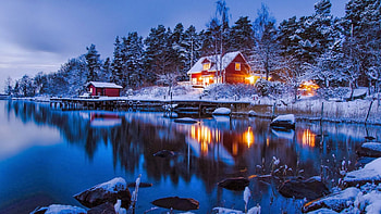 Lakeside Houses, winter, reflection, snow, trees, nature, houses, lake HD wallpaper