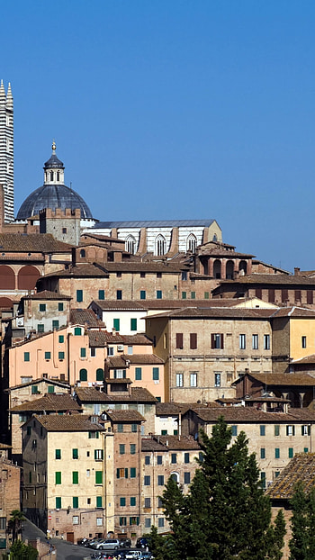 Siena, and , backgrounds, Explore Siena HD phone wallpaper