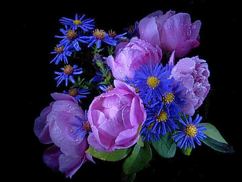 Beautiful Flowers, cool, beautiful, flowers HD wallpaper