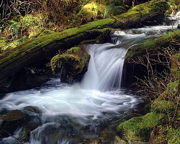 Coyote Creek, falls, water, rock, moss HD wallpaper