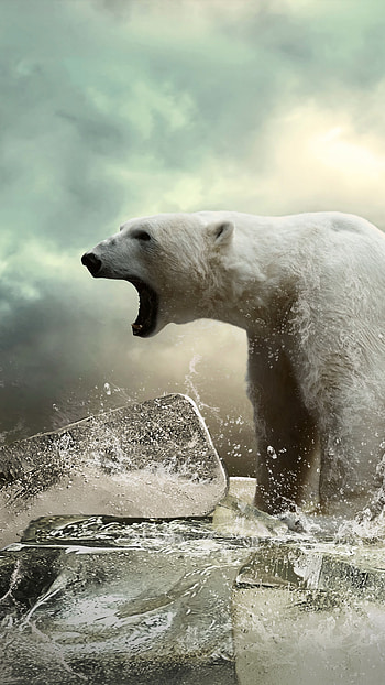 Roaring polar bear, Icy ocean, Powerful presence, Arctic predator HD phone wallpaper
