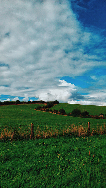 Nature, Grass, Sky, Clouds, Summer, Field HD phone wallpaper