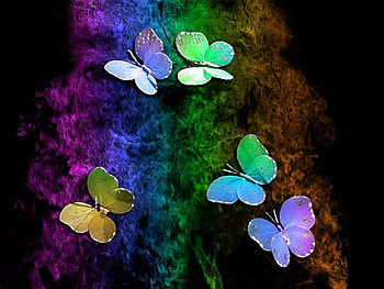 Playing Various Colors, colorful, attractions in dreams, colors, digital art, beautiful, creative pre-made, butterflies, love four seasons, pretty, minimalism, softness beauty, butterfly designs, lovely HD wallpaper
