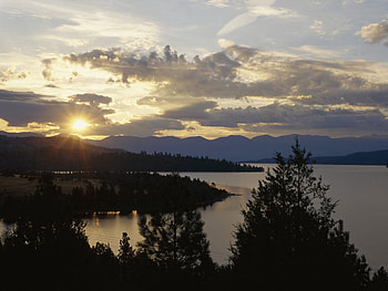 Nature, Trees, Sunset, Sun, Horizon, Evening, Montana, Flathead Lake, Wild Horse Island HD wallpaper