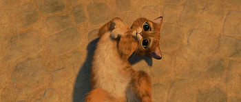 Puss in Boots 2011 -cuteness overloaded, cute, cat, movie, Puss in Boots, cute cat HD wallpaper