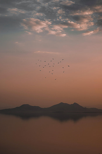 Nature, Birds, Mountains, Clouds, Fog, Evening HD phone wallpaper