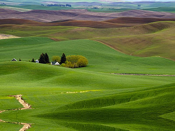 Beautiful Land, grass, sky, field, land HD wallpaper