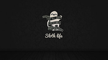 A small collection of Sloth HD wallpaper