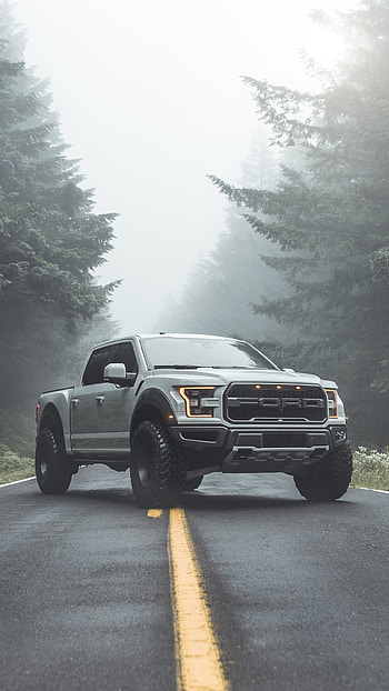 Ford Raptor, Vehicles, Silver Car, Ford HD phone wallpaper