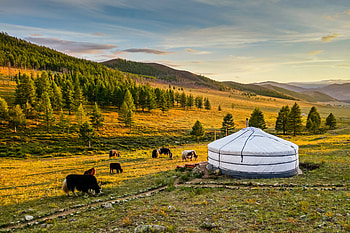 Mongolia, United States Department of State, Facts and information, Country HD wallpaper