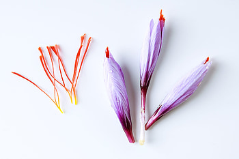 Saffron, Afghanistans saffron growers HD wallpaper