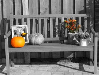 Life Style, pumpkins, kettle design, bench, flowers HD wallpaper