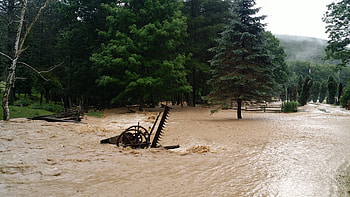 My little creek, creek, nature, flood, water HD wallpaper