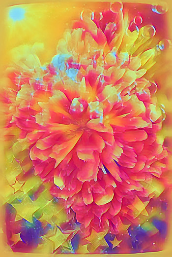 Bright Petal Pop, orange, PopArt, magenta, sparkle, art, flowers, bubbles, starts, creative HD phone wallpaper