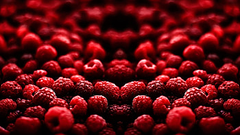 Raspberry, tasty, graphy, red HD wallpaper