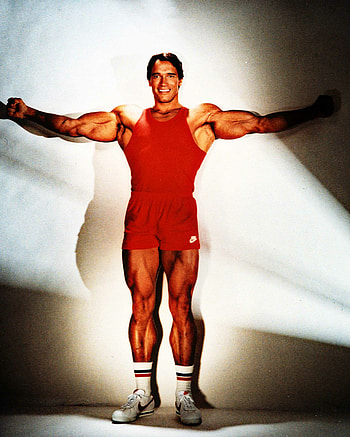 Arnold Schwarzenegger, , , Sun HD phone wallpaper