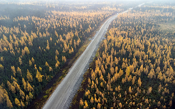 road in the forest, view from above, autumn, forest road, yellow trees, autumn landscape HD wallpaper