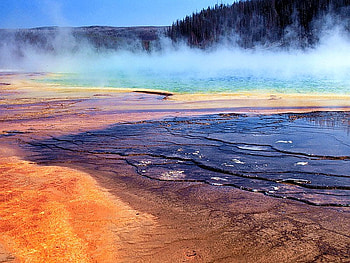 strange, nature HD wallpaper