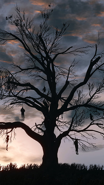 Familiar Territory, video game, The Witcher 3: Wild Hunt HD phone wallpaper