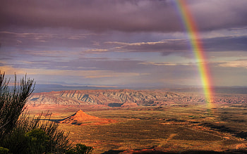Nature, Desert, Rainbow, After The Rain HD wallpaper
