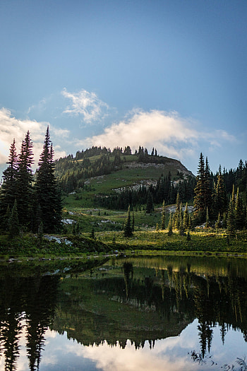Nature, Lake, Reflection, Spruce, Fir, Hills HD phone wallpaper