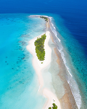 Ocean, Nature, Trees, Beach, Island HD phone wallpaper
