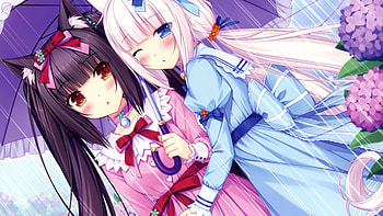 Anime Neko Para nekomimi Chocolat (Neko Para) Vanilla (Neko Para) HD wallpaper