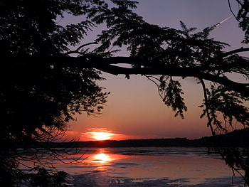 Sunset, Winter, Ice, graphy, Trees, Nature, Sun, Sky HD wallpaper