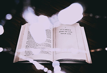 Words, Life, Inscription, Text, Book, Motivation HD wallpaper
