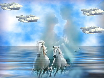 a horses love, blue, sea, white, sky, beach HD wallpaper