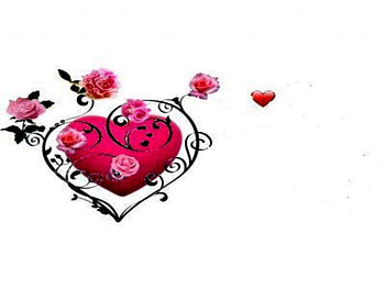 PINK ROSES, pink, roses HD wallpaper