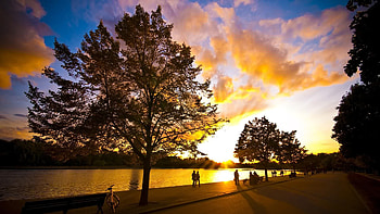 Evening Walk at Sunset Park, golden, freshness, cool, warm, beauty HD wallpaper