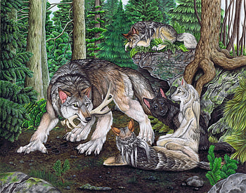 Sir loki's pack, werewolves, wolves, forests, hunting, loki HD wallpaper