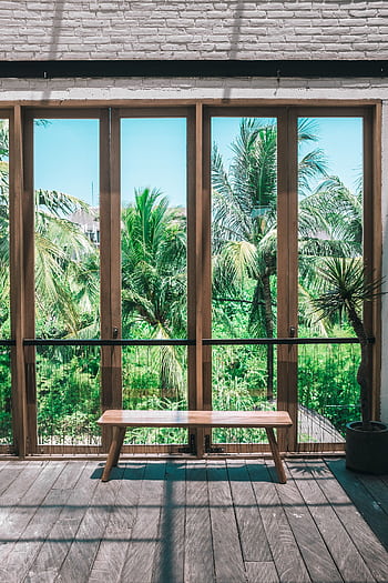 A serene view of lush greenery and palm trees through modern glass doors. HD phone wallpaper