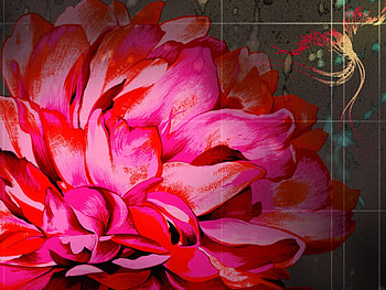 Fire Phoenix, pink flower, art HD wallpaper