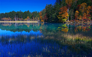 Nature, Water, Trees, Grass, Sky, Lake, Reflection, Shore, Bank, September HD wallpaper