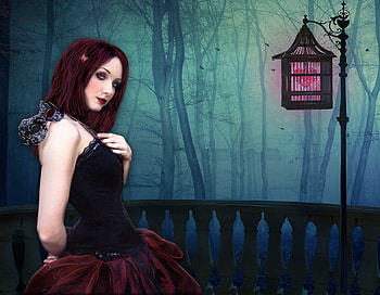 Heart in a cage, girl, heart, cage, fantasy HD wallpaper
