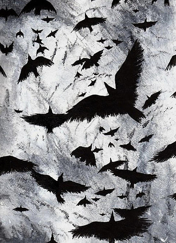 Crow, sky, black HD phone wallpaper