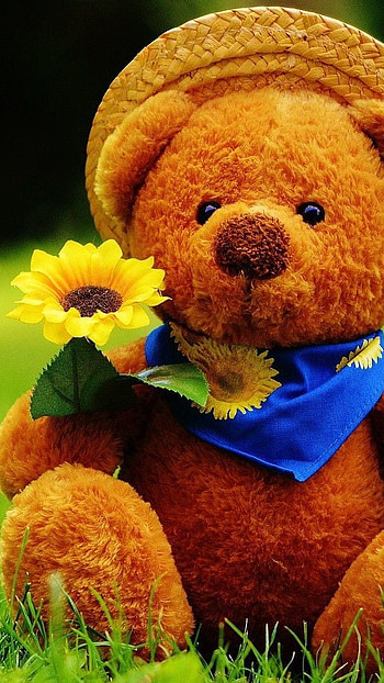 Teddy Bear, garden view HD phone wallpaper