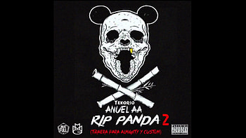 Anuel AA Ft. Yekorio - RIP Panda 2 (Official Remix) - YouTube HD wallpaper